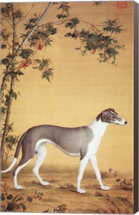 Framed Greyhound by Bamboo Print