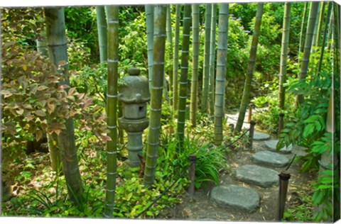 Framed Hasedera-Bamboo Grove Print