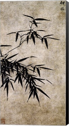 Framed Xia Chang- Ink Bamboo Print