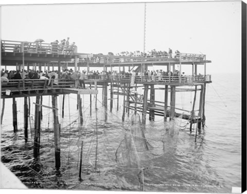 Framed Hauling the Nets, Young&#39;s Pier, Atlantic City, NJ Print