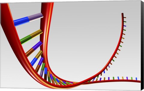 Framed Close-up of a human DNA structure Print