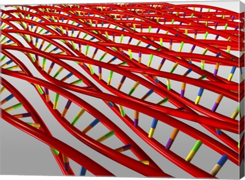 Framed Close-up of a human DNA structure Print