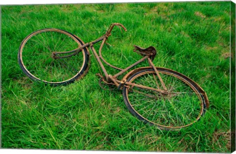 Framed High angle view of an old bicycle Print