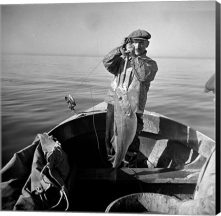 Framed Hauling in a cod aboard a Portuguese fishing dory off Cape Cod, Massachusetts Print