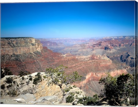 Framed Grand Canyon, Arizona Print