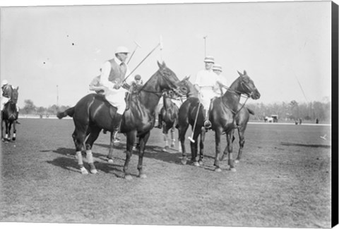 Framed Polo Brown Lieut Palmes Print