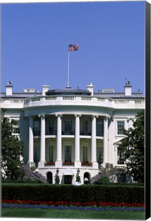 Framed White House, Washington D.C., USA Print