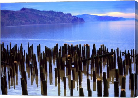 Framed Wooden posts in water, Columbia River, Washington, USA Print