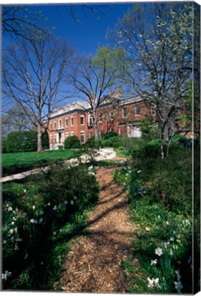 Framed Trees in a garden, Dumbarton Oaks House, Georgetown, Washington DC, USA Print