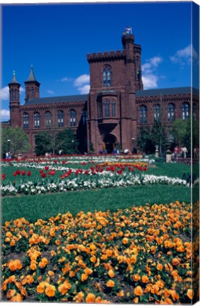 Framed Formal garden in front of a museum, Smithsonian Institution, Washington DC, USA Print