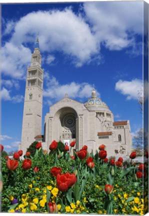 Framed Basilica of the National Shrine of the Immaculate Conception, Washington D.C., USA Print