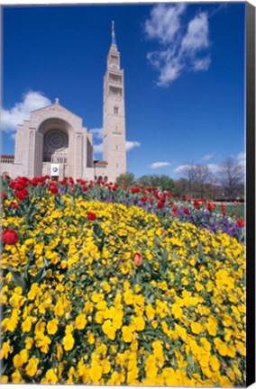 Framed USA, Washington DC, Basilica of the National Shrine of the Immaculate Conception Print