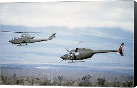 Framed left side view of an AH-1 Cobra helicopter, front, and an OH-58 Kiowa helicopter Print