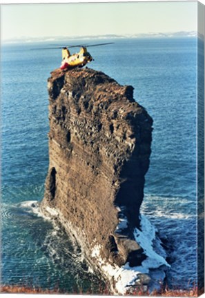 Framed Labrador helicopter landing Bell Island Print