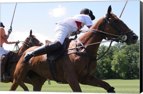 Framed Polo nearside swing Print