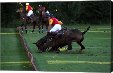 Framed Polo - red and yellow Print