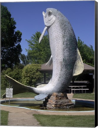 Framed Adaminaby big trout Print