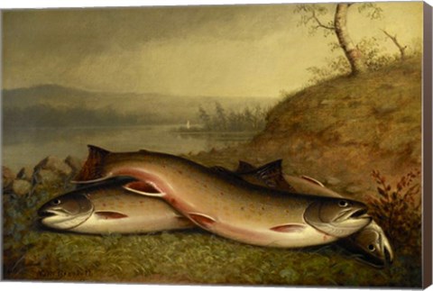 Framed Brooklyn Museum - Trout - Walter M. Brackett Print