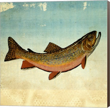 Framed Brown Trout I Print