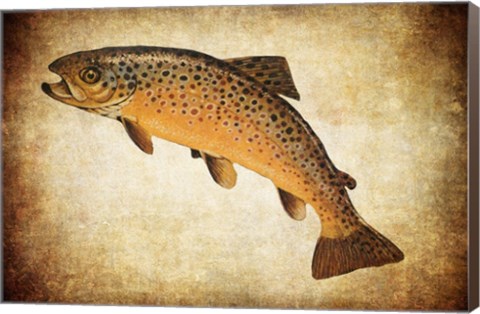 Framed Brown Trout II Print