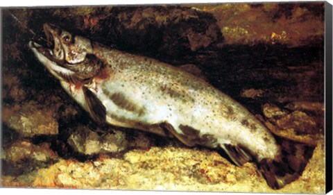 Framed Gustave Courbet - The Trout Print