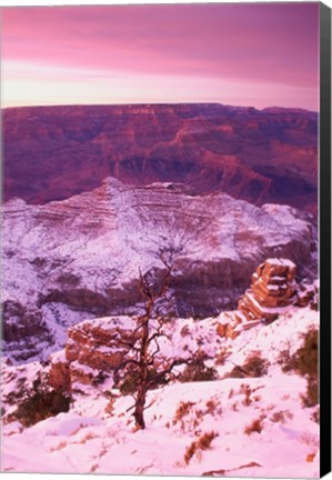 Framed South Rim Grand Canyon National Park Arizona USA Print