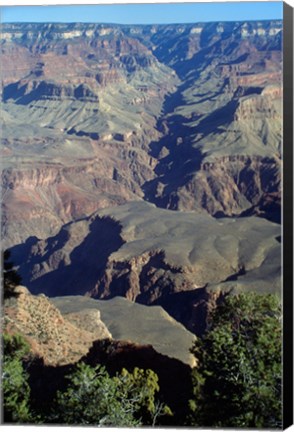 Framed Grand Canyon National Park with Green Trees Print