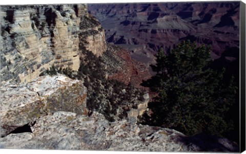 Framed Looking Down Into the Grand Canyon Print