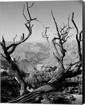 Framed USA, Arizona, Grand Canyon, Colorado River seen from South Rim Print