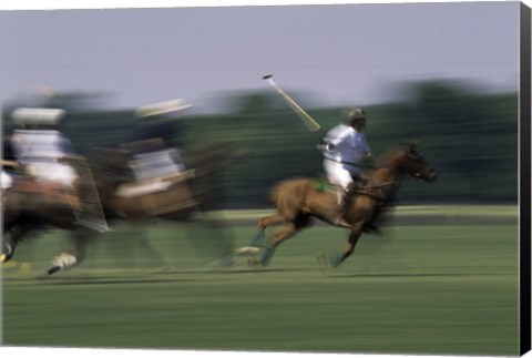 Framed Polo match in progress Print