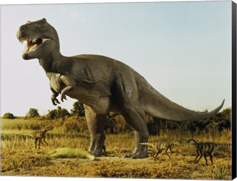 Framed Tyrannosaur Stealing The Kill Thescelosaur From Dromeosaurs Print
