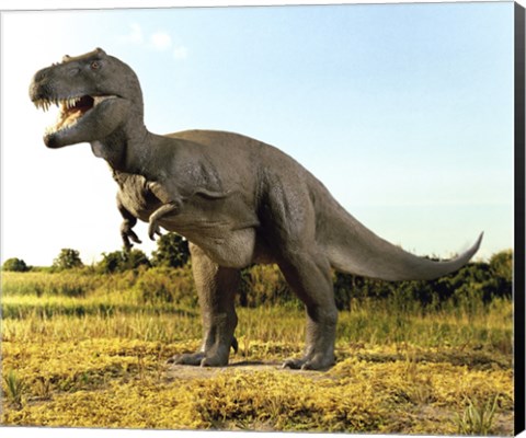 Framed Close-up of a tyrannosaurus rex standing in a field Print