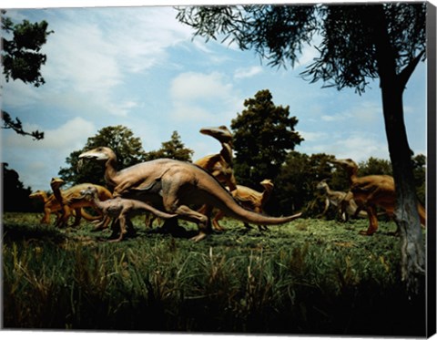 Framed Herd of Anatosaurus Print