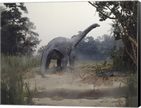 Framed Rear view of an alamosaurus walking in a forest Print