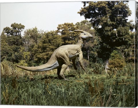 Framed Side profile of a parasaurolophus walking in a forest Print