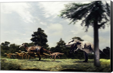 Framed Side profile of a tyrannosaur attacking a group of anatosaurus Print