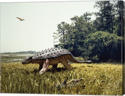 Framed Ankylosaur walking in a field and a pteranodon flying in the sky Print