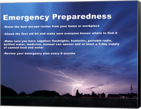 Framed Emergency Preparedness Print