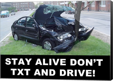 Framed Don&#39;t Text and Drive Print