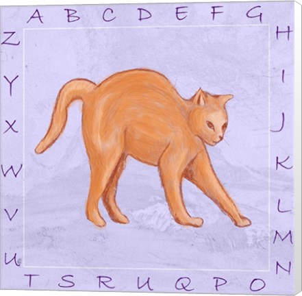 Framed Cat Alphabet Print