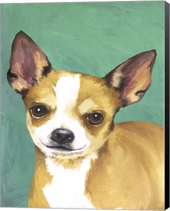 Framed Dog Portrait-Chihuahua Print