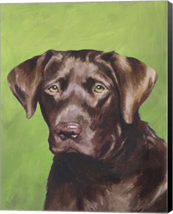 Framed Dog Portrait-Chocolate Print