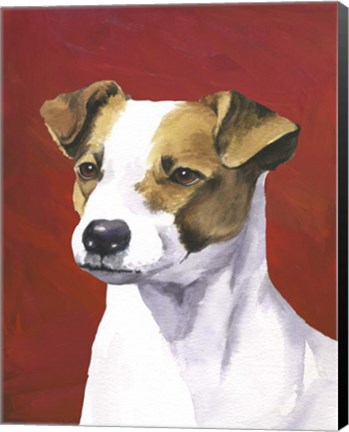 Framed Dog Portrait-Jack Print