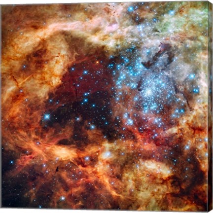 Framed Hubble Space Telescope image of the R136 Super Star Cluster Print