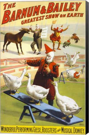 Framed Barnum &amp; Bailey Performing Geese, Roosters and Musical Donkey Print