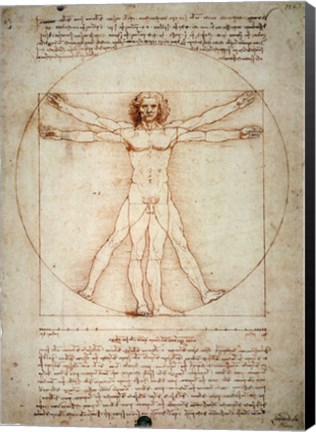 Framed Vitruvian Man Print