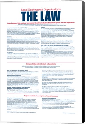 Framed Equal Opportunity Employment 2012 Print
