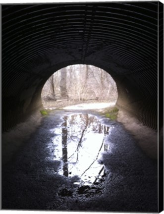 Framed D&amp;R Canal Towpath Tunnel photo Print