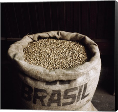 Framed Coffee Beans in a Burlap Sack Print