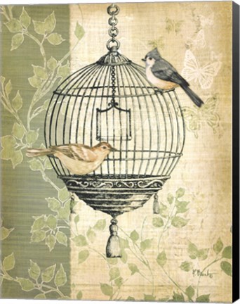 Framed Botanical Birdcage I Print